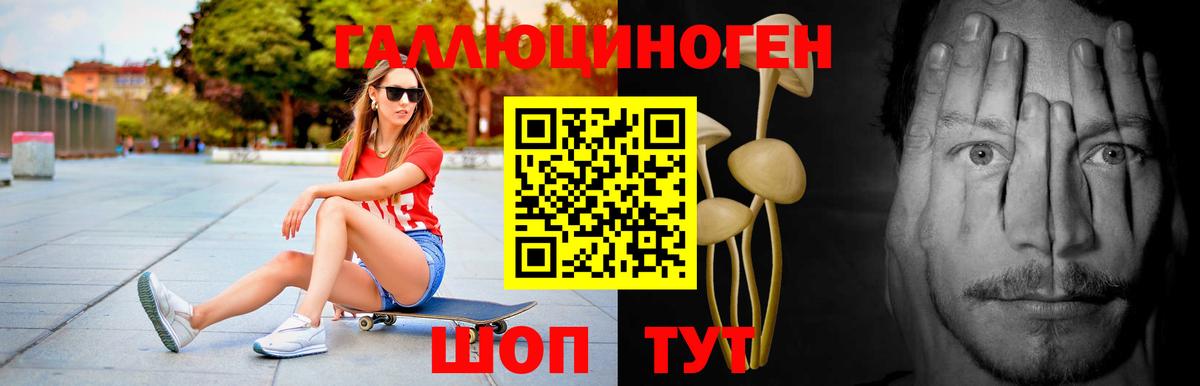 Свободный  Галлюциногенные грибы Cubensis  Вход с VPN 